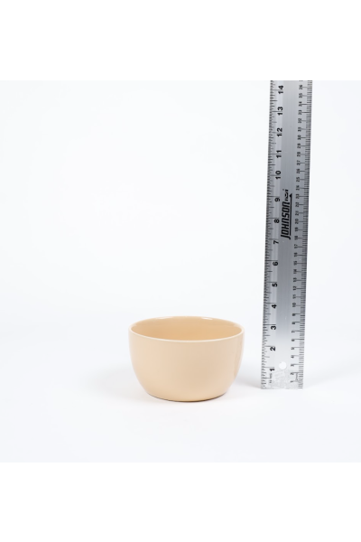 Tan Glazed Bowl